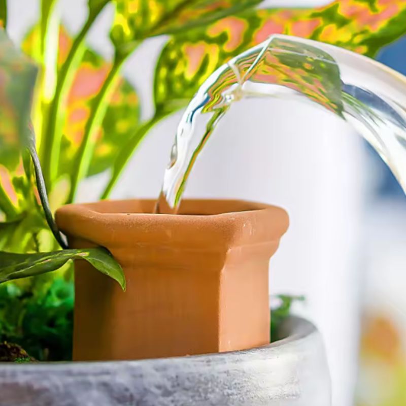 self watering spikes

