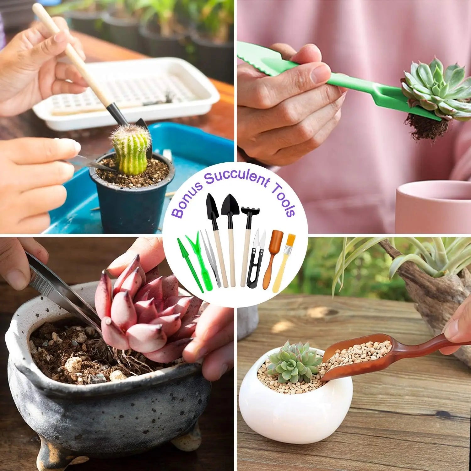 garden tool set

