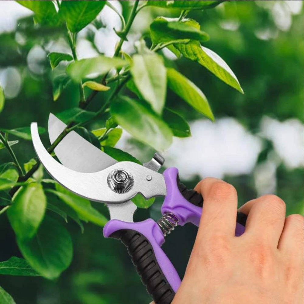 garden tool set


