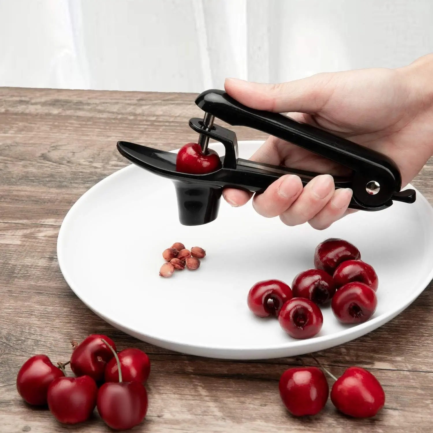 stainless steel cherry pitter